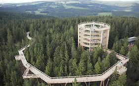 Myši V Botě Lipno